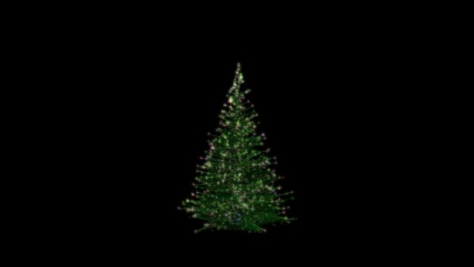 圣诞节日灯树，生长和旋转，阿尔法巴布亚新几内亚
