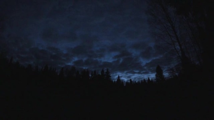 夜晚的云在森林的天空中。延时。