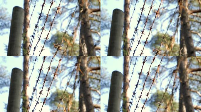在芬兰守卫的土地上，铁丝网的外观