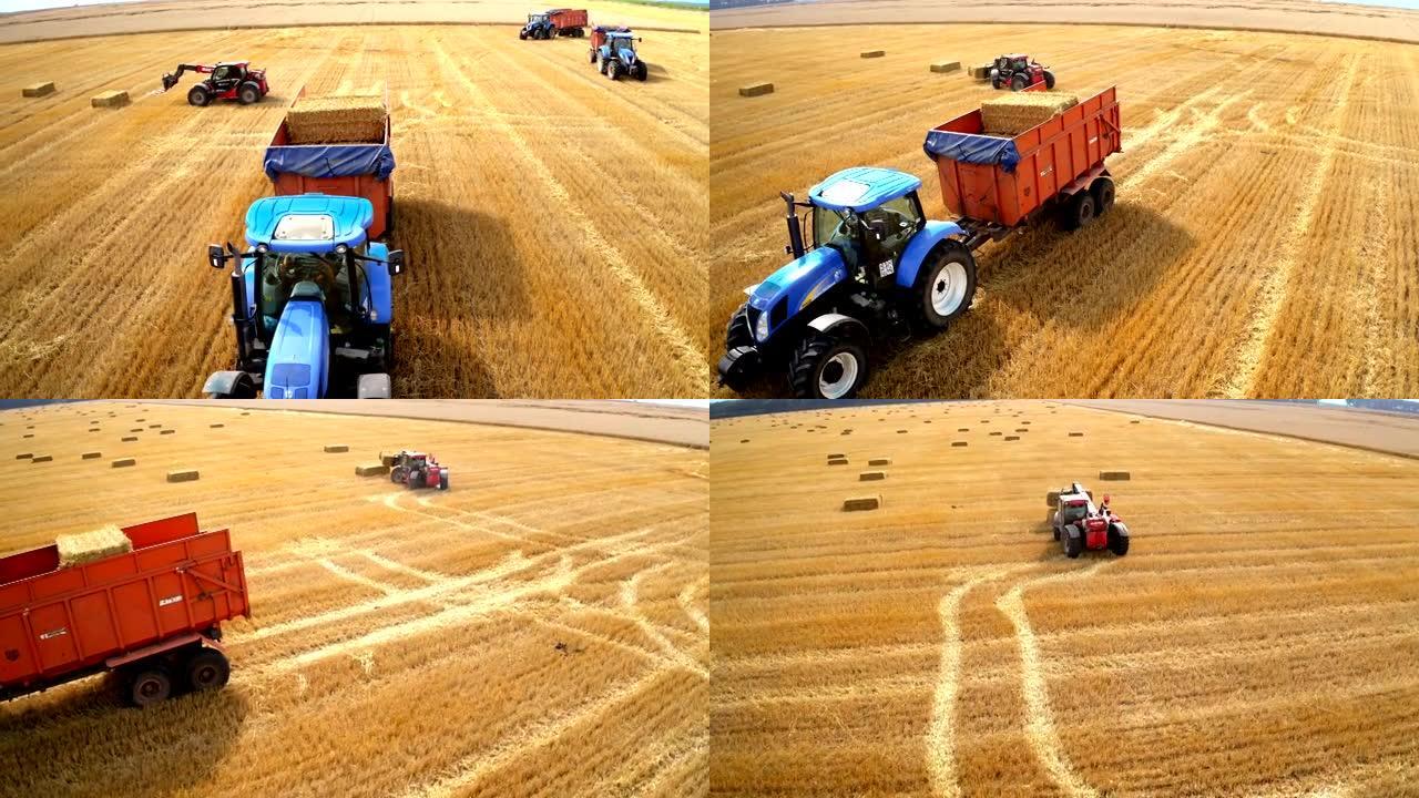 在黄色田野上收集干捆的拖拉机。收割作物后在田间作业的农业机械。散落在大田地上的草捆。
