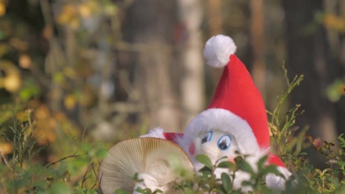 罗瓦涅米芬兰红色侏儒精灵玩具娃娃旁边的白色蘑菇