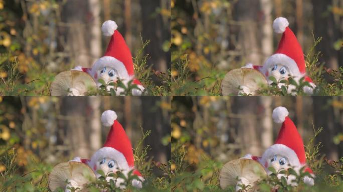 罗瓦涅米芬兰红色侏儒精灵玩具娃娃旁边的白色蘑菇
