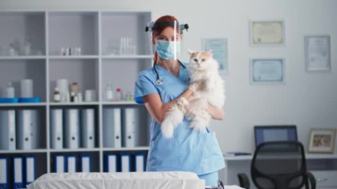 专业兽医在防护罩和面罩上，抱着猫在医疗办公室，看着相机