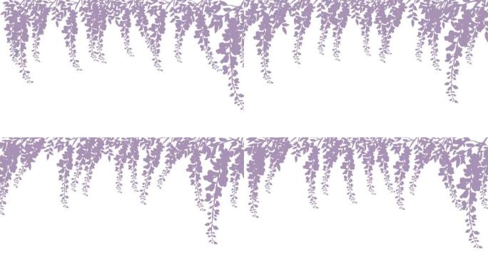 紫藤花很多剪影