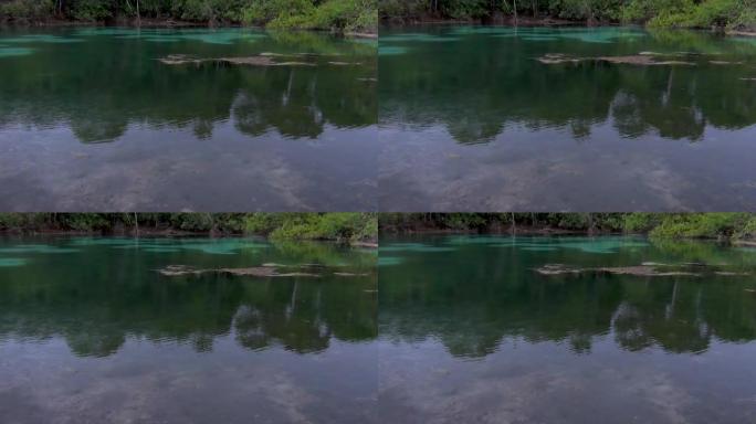 平静的半透明湖面。世界水日。