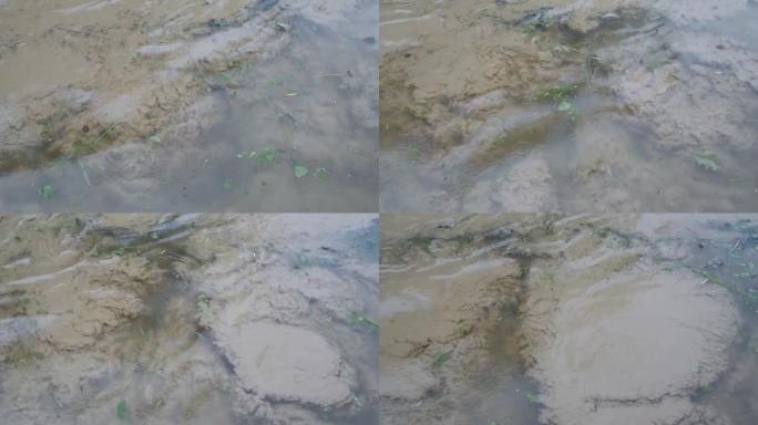 在阴天下雨时，淤泥，泥和沙子从底部漂浮并在水面上沸腾的水面俯视图。天气不好。环境污染。特写。4K。