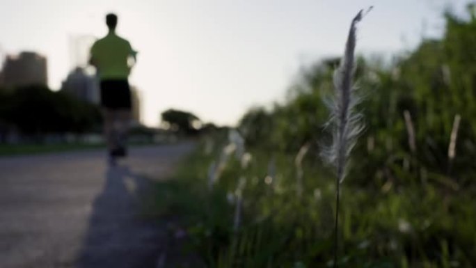 黄昏时，公园里的小径。道路两旁都有芒种。左边是建筑工地。一个人沿着小径从近到远慢跑。