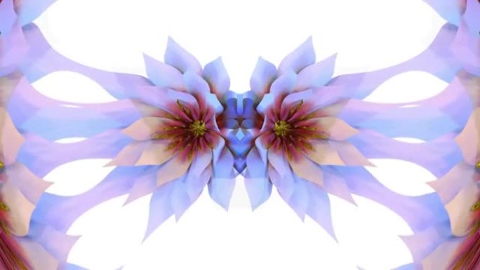 睡莲植物花3D渲染