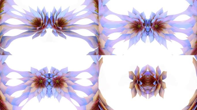 睡莲植物花3D渲染