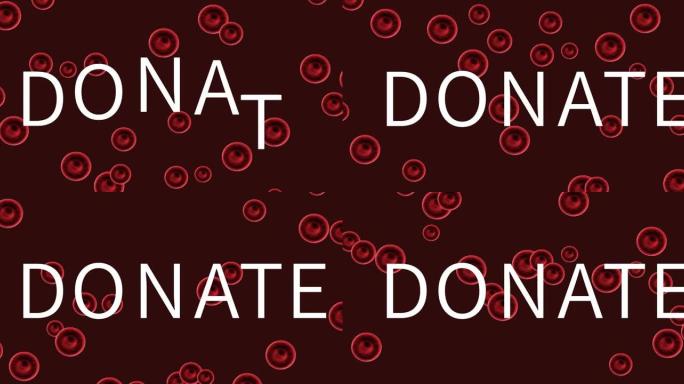 动画捐赠文字在白色与红血球移动在黑暗的背景