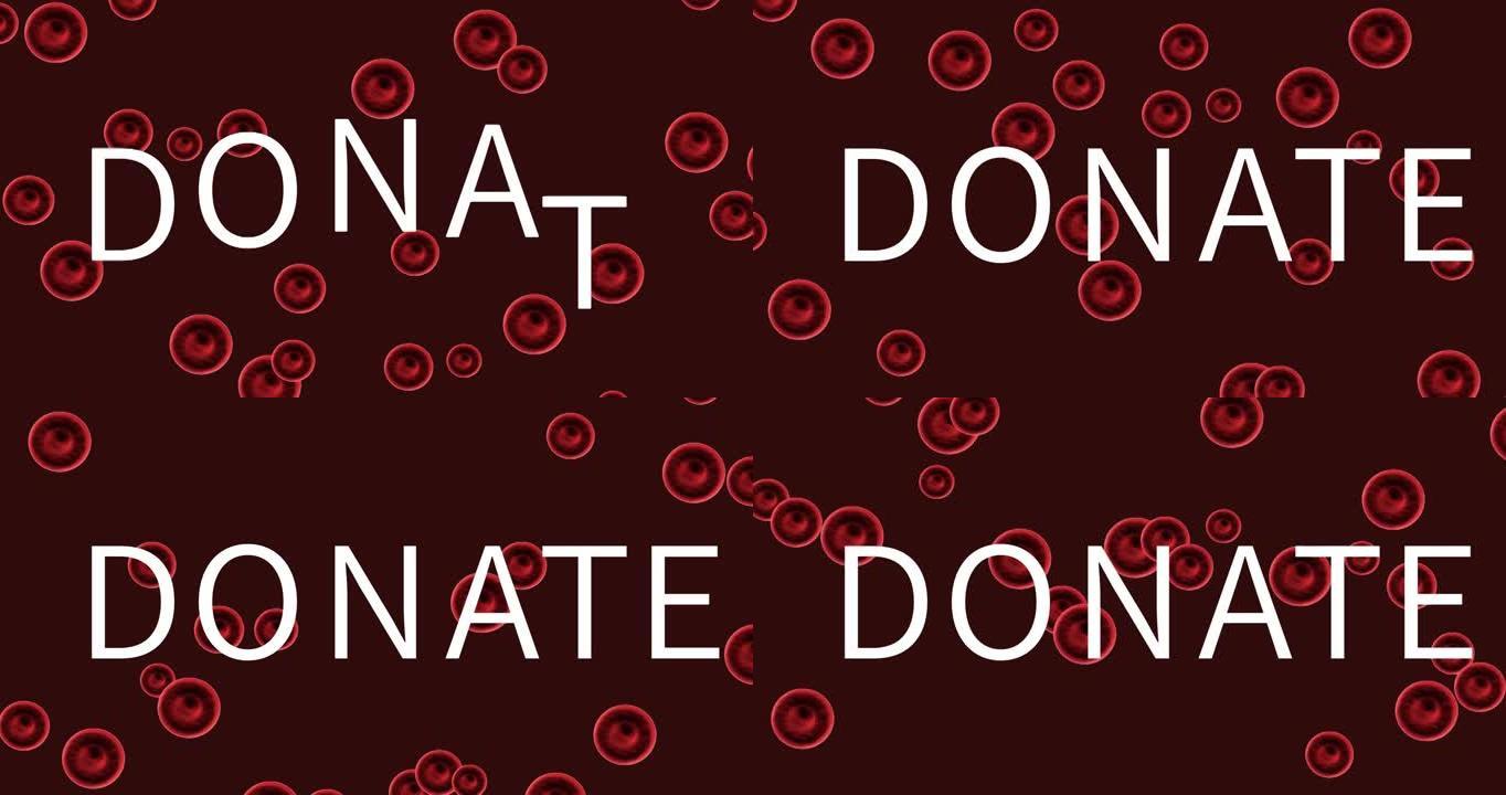 动画捐赠文字在白色与红血球移动在黑暗的背景