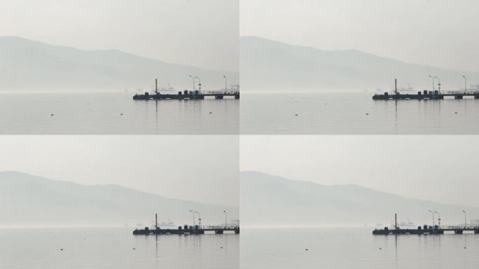 大雾天气中的码头和海洋，码头，海洋和鸟类