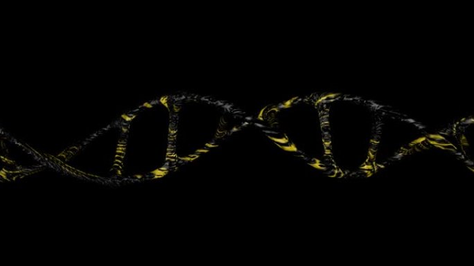 DNA基因在底部的黑屏上移动。