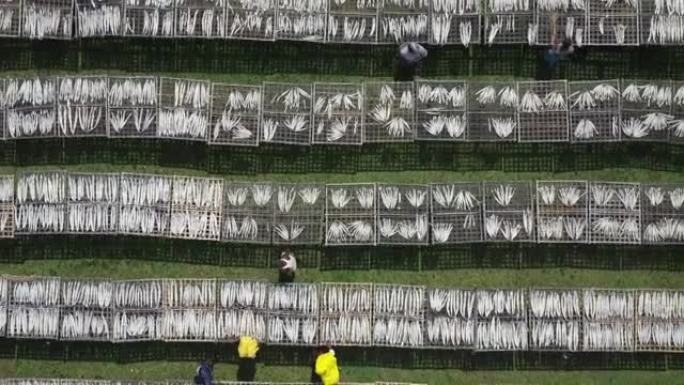 孟加拉国养鱼场工作人员的鸟瞰图。