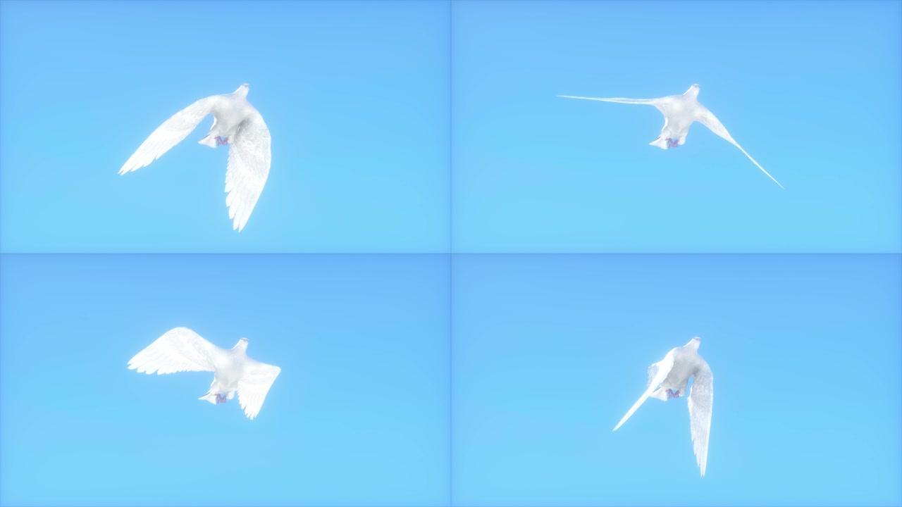 蓝色天堂背景渲染3d上的飞白鸽