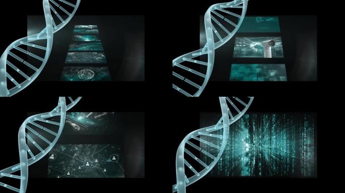 通过数据处理在移动屏幕上旋转dna链的动画