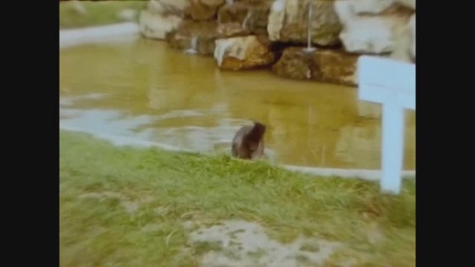 联合王国1960，黄鼠狼在动物园
