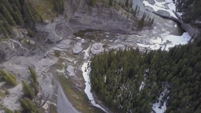 乌鸦带着雪飞过河峡谷