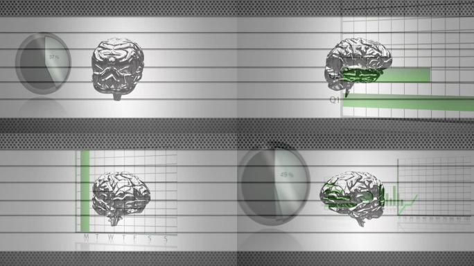 灰色背景上的图表，图形和旋转大脑的动画