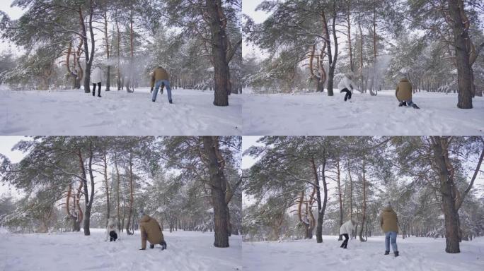 穿着暖和冬装的男孩和女孩正在打雪球，笑着玩得开心。幸福的夫妇喜欢在冬季白雪皑皑的松树林中散步。晴天在