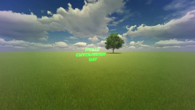 世界环境日视频，草地上的一棵树，4K
