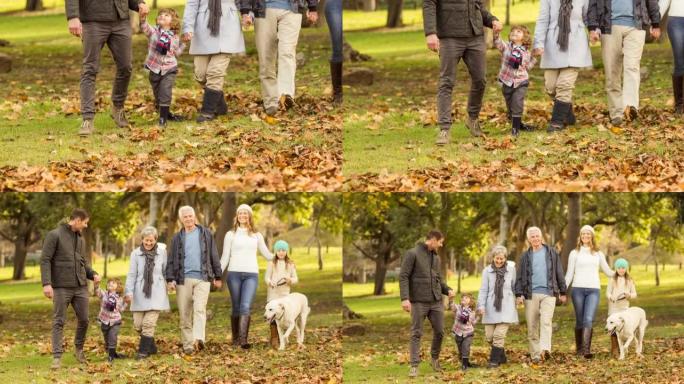 快乐的高加索多代家庭手牵手在公园遛狗