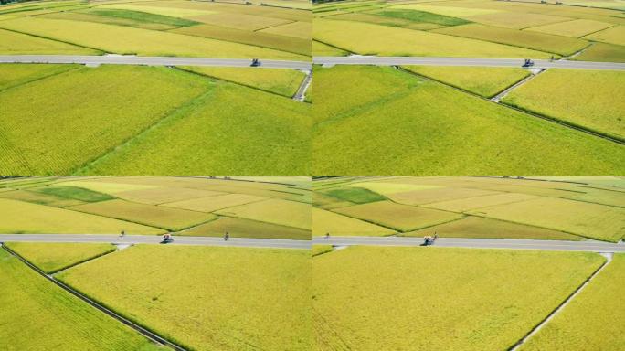 稻田和骑自行车者的鸟瞰图，台湾台东池上的景观。
