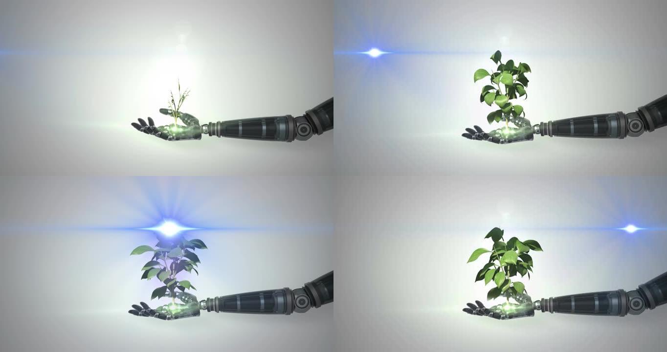 机器人手臂手中的植物网络动画，灰色蓝色光