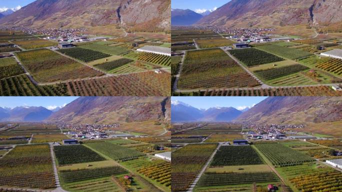 瓦莱州葡萄酒产区瑞士最大的葡萄园和葡萄酒产区