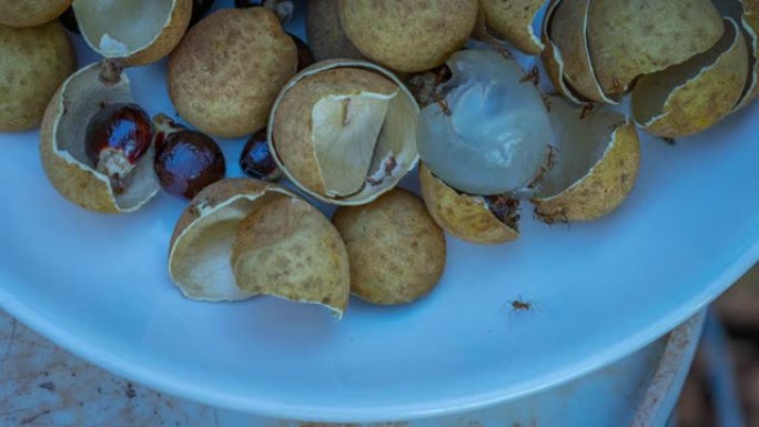 一群蚂蚁吃甜桂圆的肉，泰国的水果