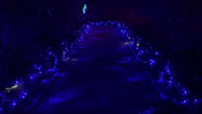 夜晚的蓝灯走廊