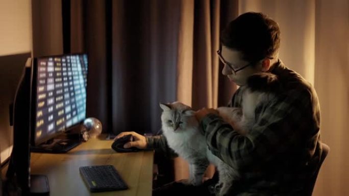 年轻的家伙从家庭办公室看屏幕在线与可爱的白色蓬松猫坐在一起