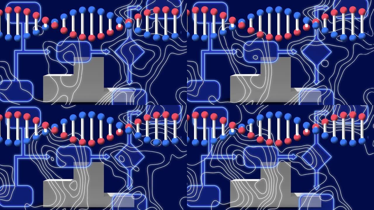 蓝色背景上白线上的dna链动画