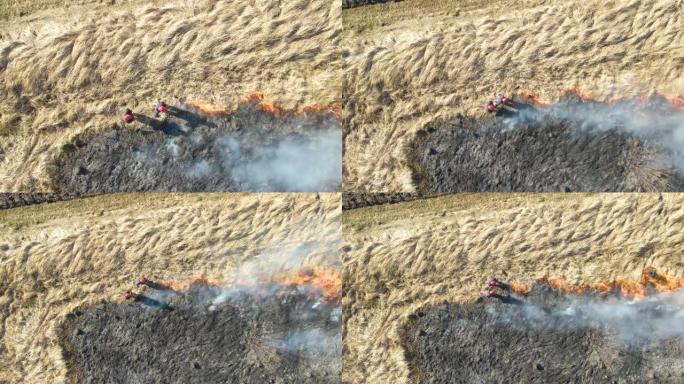旱季消防员扑灭用红火燃烧的草地的鸟瞰图。自然灾害与气候变化概念
