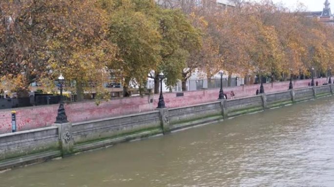 伦敦泰晤士河南岸，延伸着Covid纪念墙，红心和秋天的彩树