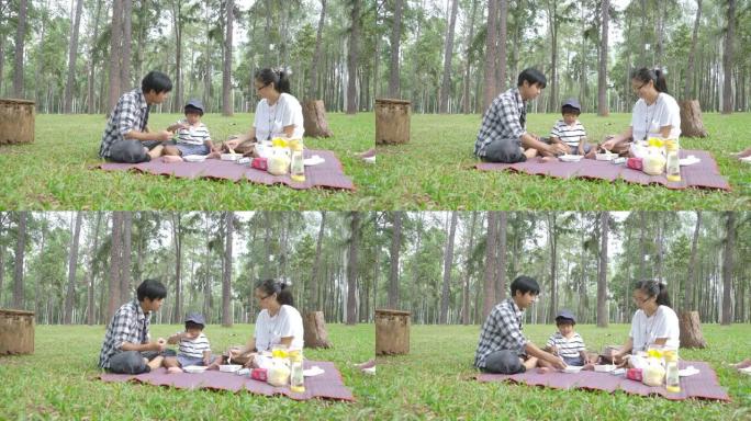 假期期间，亚洲家庭在松树公园一起野餐