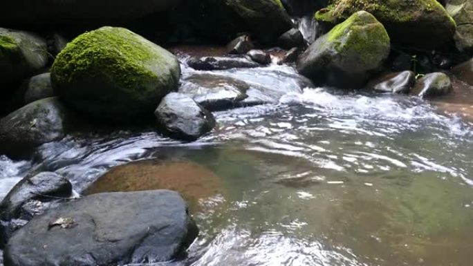 小瀑布的溪流是自然保护区的背景。