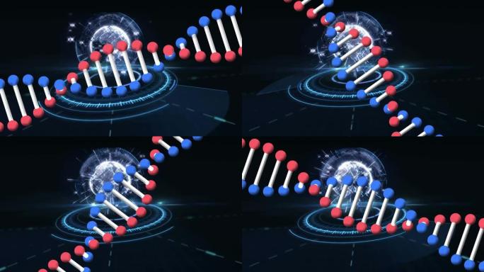 地球上dna链的动画