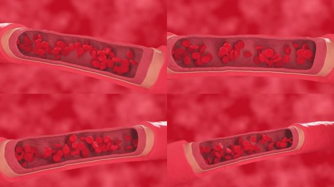 红细胞在健康的血管内流动，横截面动脉视图。