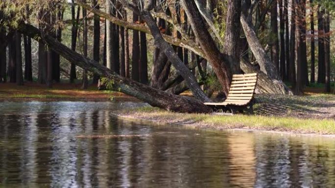 美丽的秋季森林公园景观，阳光下的木凳，树叶飘落在宁静的湖上，循环4k慢动作镜头。