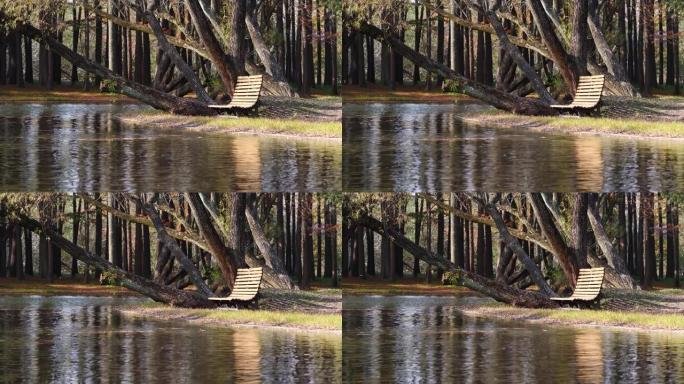 美丽的秋季森林公园景观，阳光下的木凳，树叶飘落在宁静的湖上，循环4k慢动作镜头。