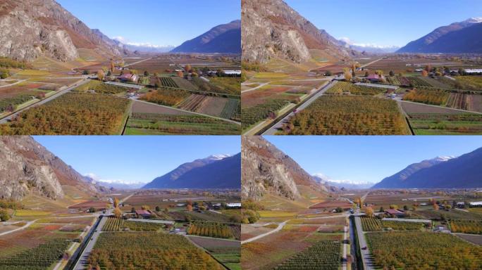 瓦莱州葡萄酒产区瑞士最大的葡萄园和葡萄酒产区