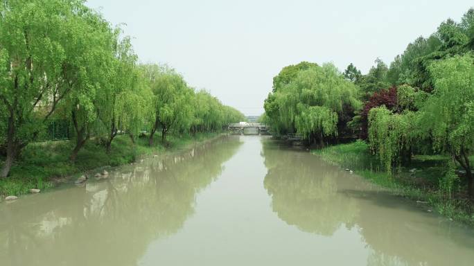 河道水源 水源绿水青山