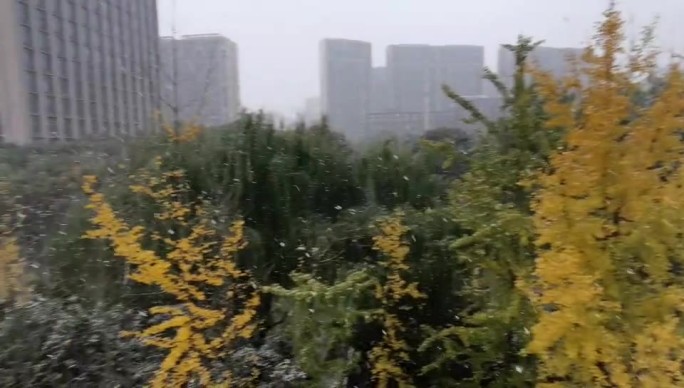 杭州雪天飘雪随拍vlog素材
