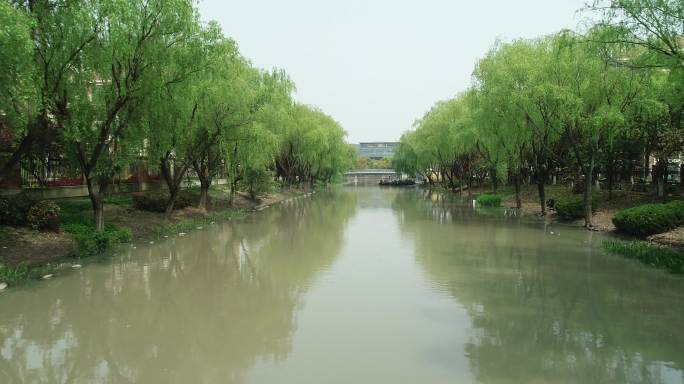 苏州水源 绿水青山 河景 自然景观