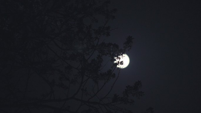 月圆之夜-实拍月亮