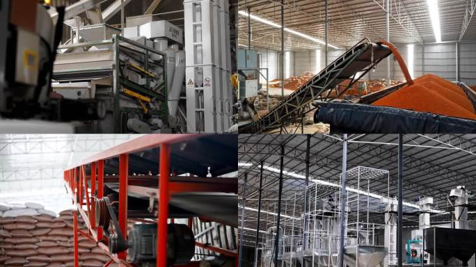 粮食加工厂工作场景厂房高粱加工机械