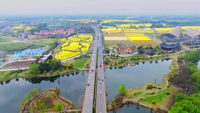 春天公路油菜花车辆车流湿地公园