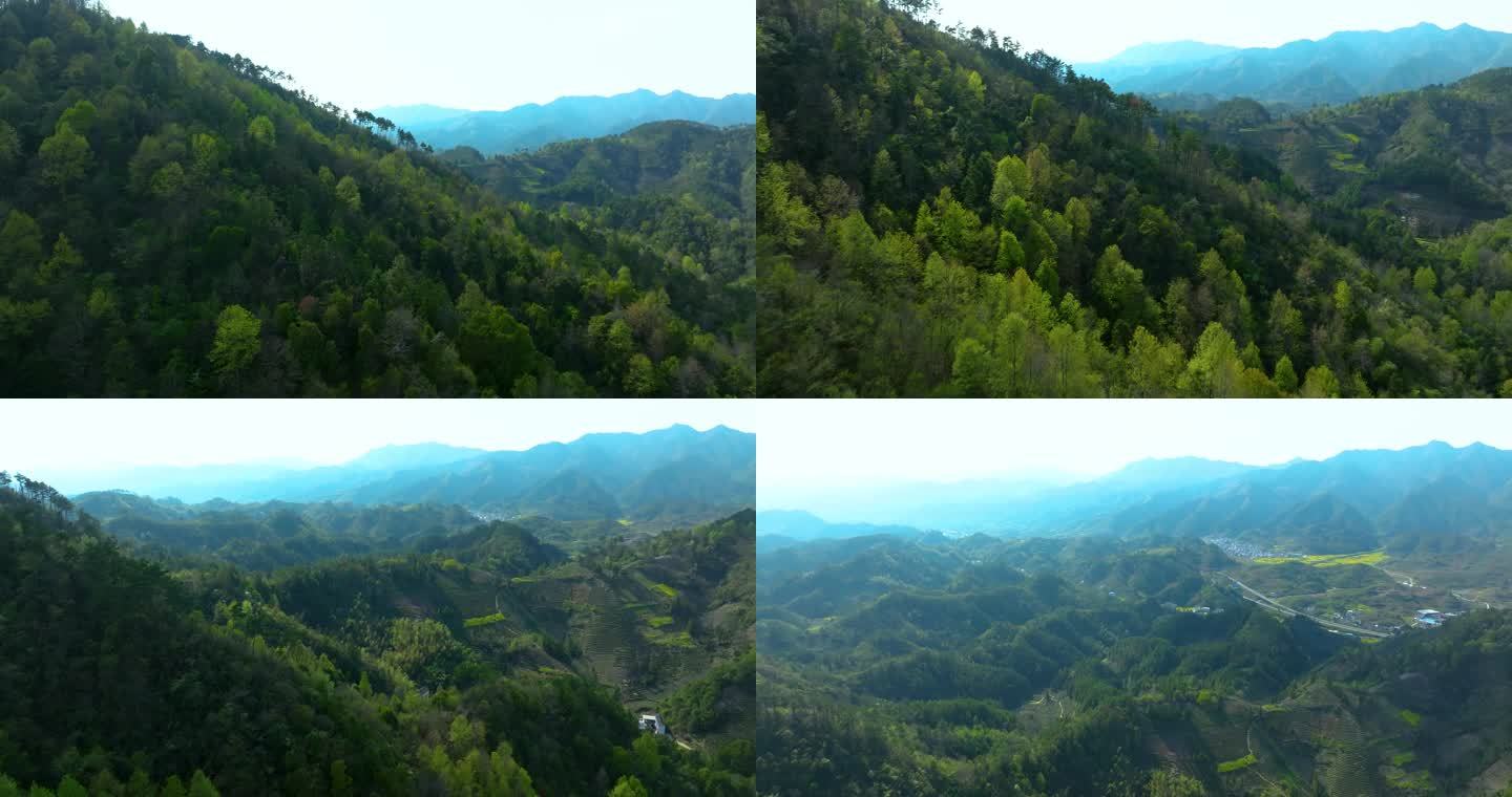 【4K】航拍森林群山 村庄民居