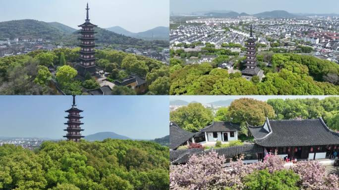 铜观音寺晚樱